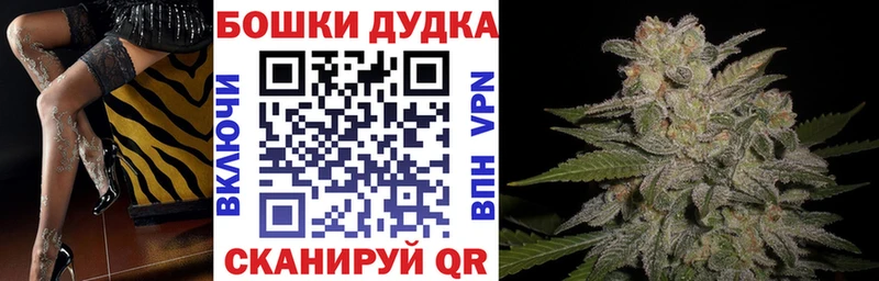 купить   Отрадный  Канабис AK-47 